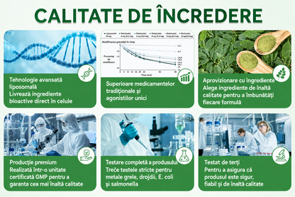 ✨Magazin Oficial | 🌿 GLORENDA® Moringa · Berberină × NAD+ Plasture Avansat Nano cu Microace 10 în 1 (Doar o dată pe zi, schimbări vizibile în 7 zile) ✅ Pentru obezitate, piele lăsată, diabet, apnee în somn, probleme articulare și multe altele